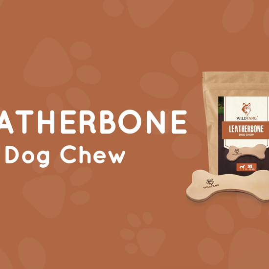 Leather bone dog chew