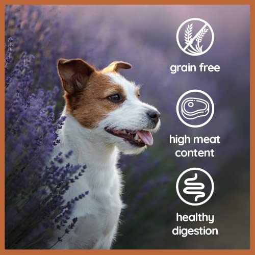 Grain free high outlet meat content dog food